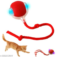 Rolling Interactive Pet Toy