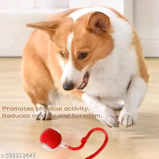 Rolling Interactive Pet Toy