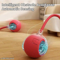 Rolling Interactive Pet Toy