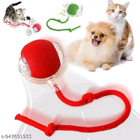 Rolling Interactive Pet Toy