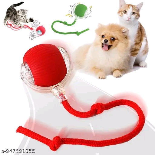 Rolling Interactive Pet Toy