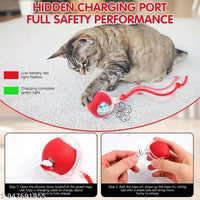 Rolling Interactive Pet Toy